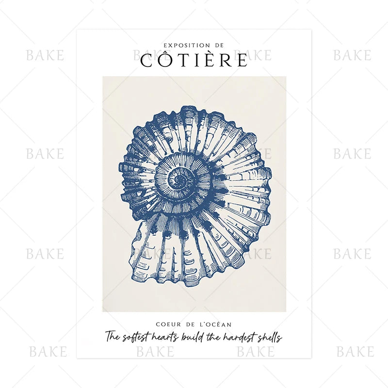 Coastal Shell Wall Art - Set of 3 Prints