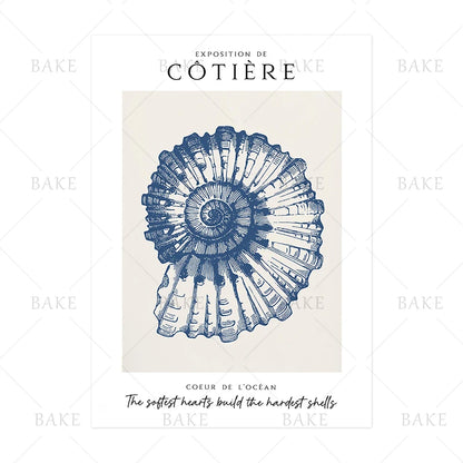 Coastal Shell Wall Art - Set of 3 Prints