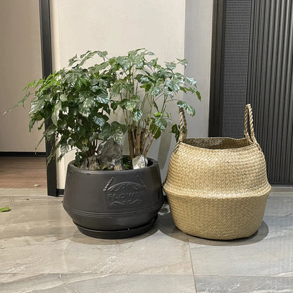 Seagrass Woven Storage Basket - Folding Organizer