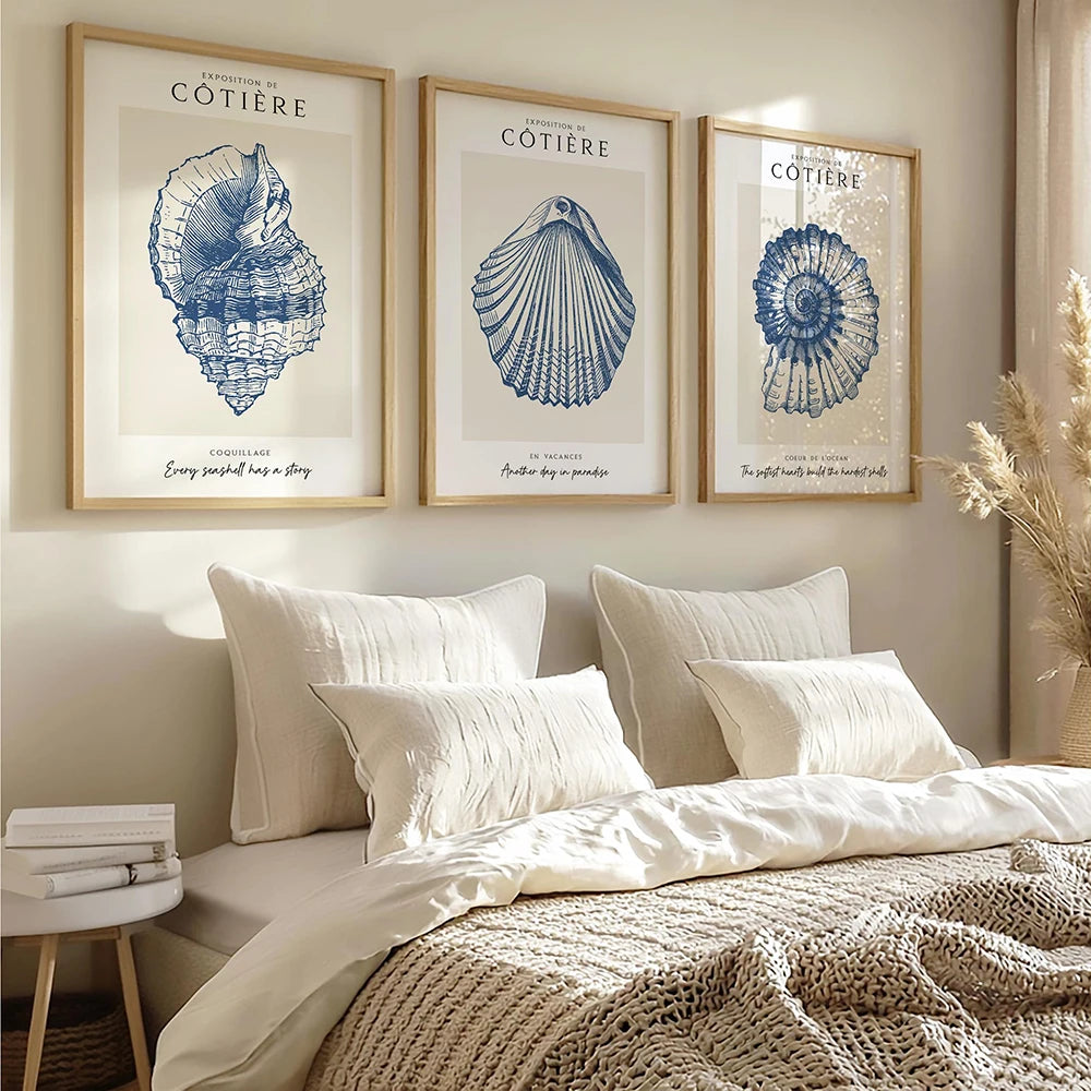 Coastal Shell Wall Art - Set of 3 Prints