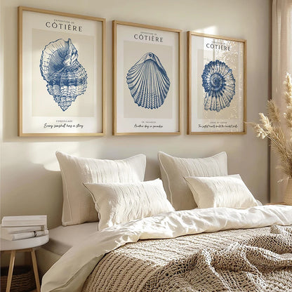 Coastal Shell Wall Art - Set of 3 Prints