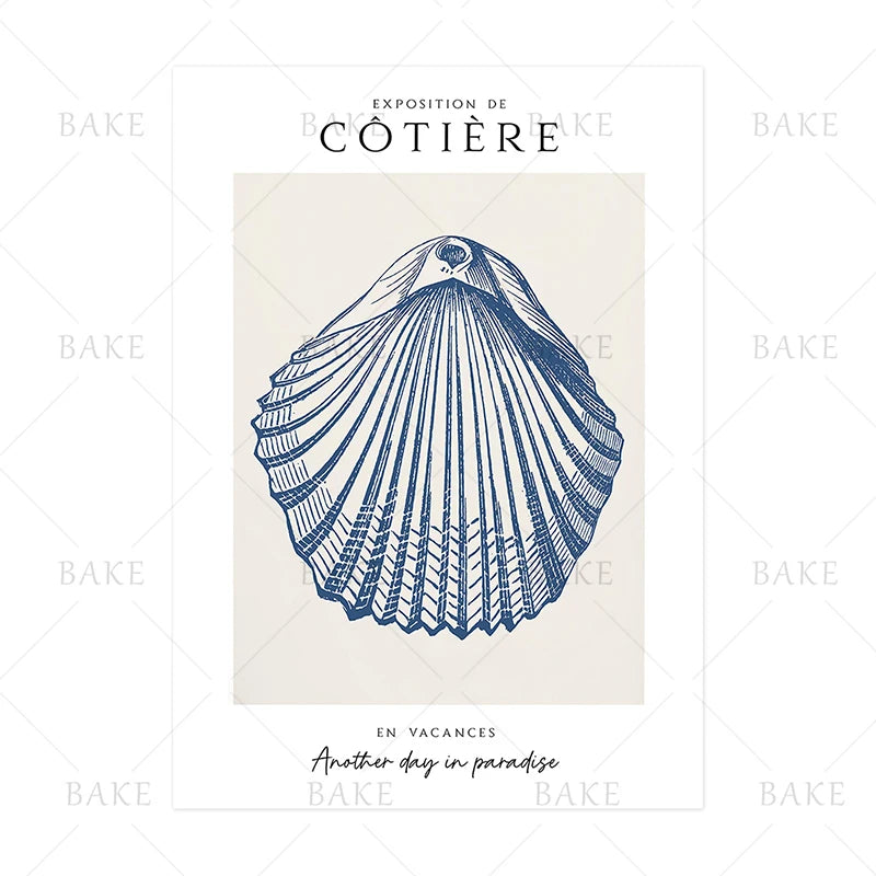 Coastal Shell Wall Art - Set of 3 Prints