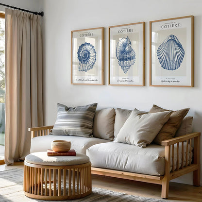 Coastal Shell Wall Art - Set of 3 Prints