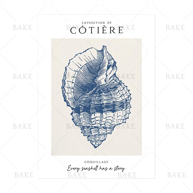 Coastal Shell Wall Art - Set of 3 Prints