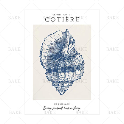 Coastal Shell Wall Art - Set of 3 Prints