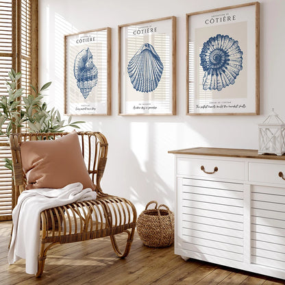 Coastal Shell Wall Art - Set of 3 Prints
