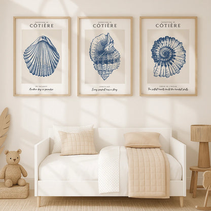 Coastal Shell Wall Art - Set of 3 Prints